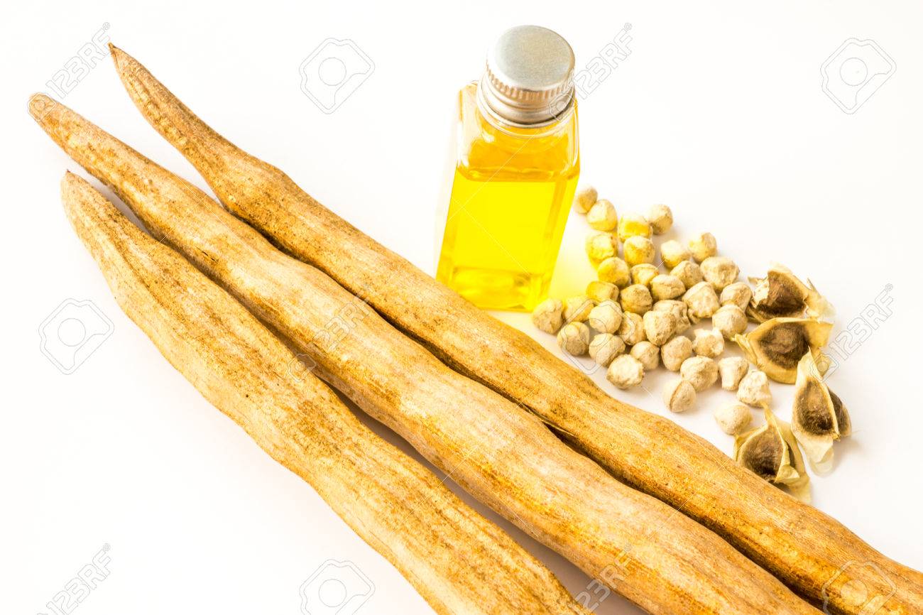 Moringa Óleo é realmente o melhor óleo para a saúde do cabelo?